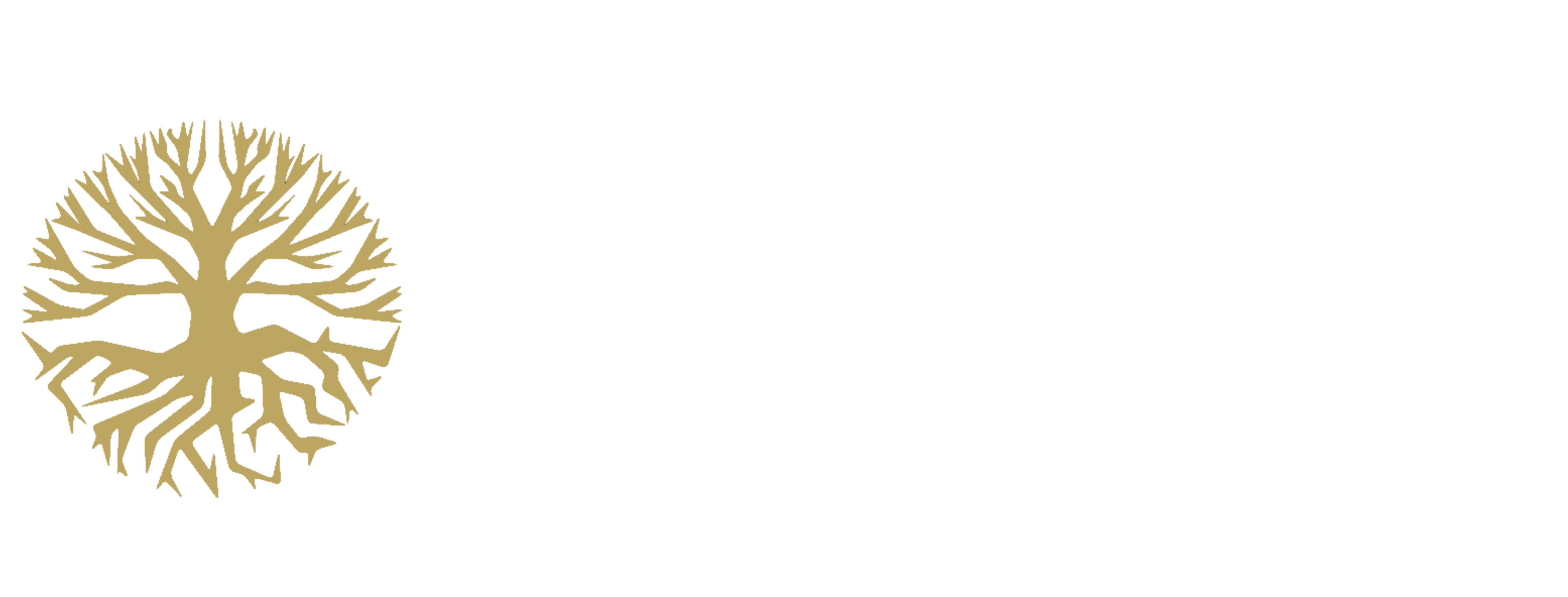 Medis health solutions