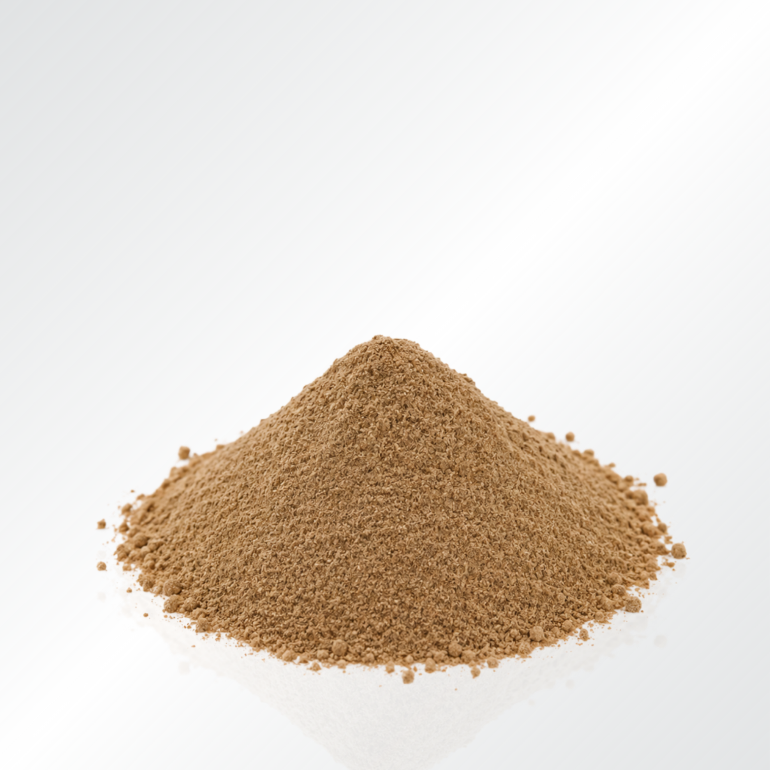 Shiitake Medis Pure
