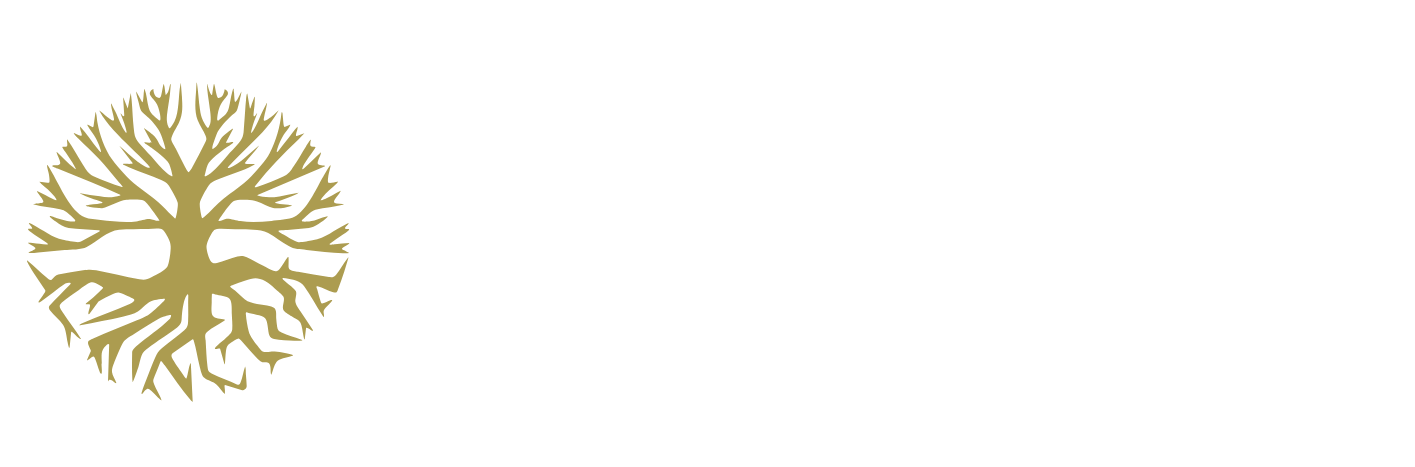 Medis health solutions