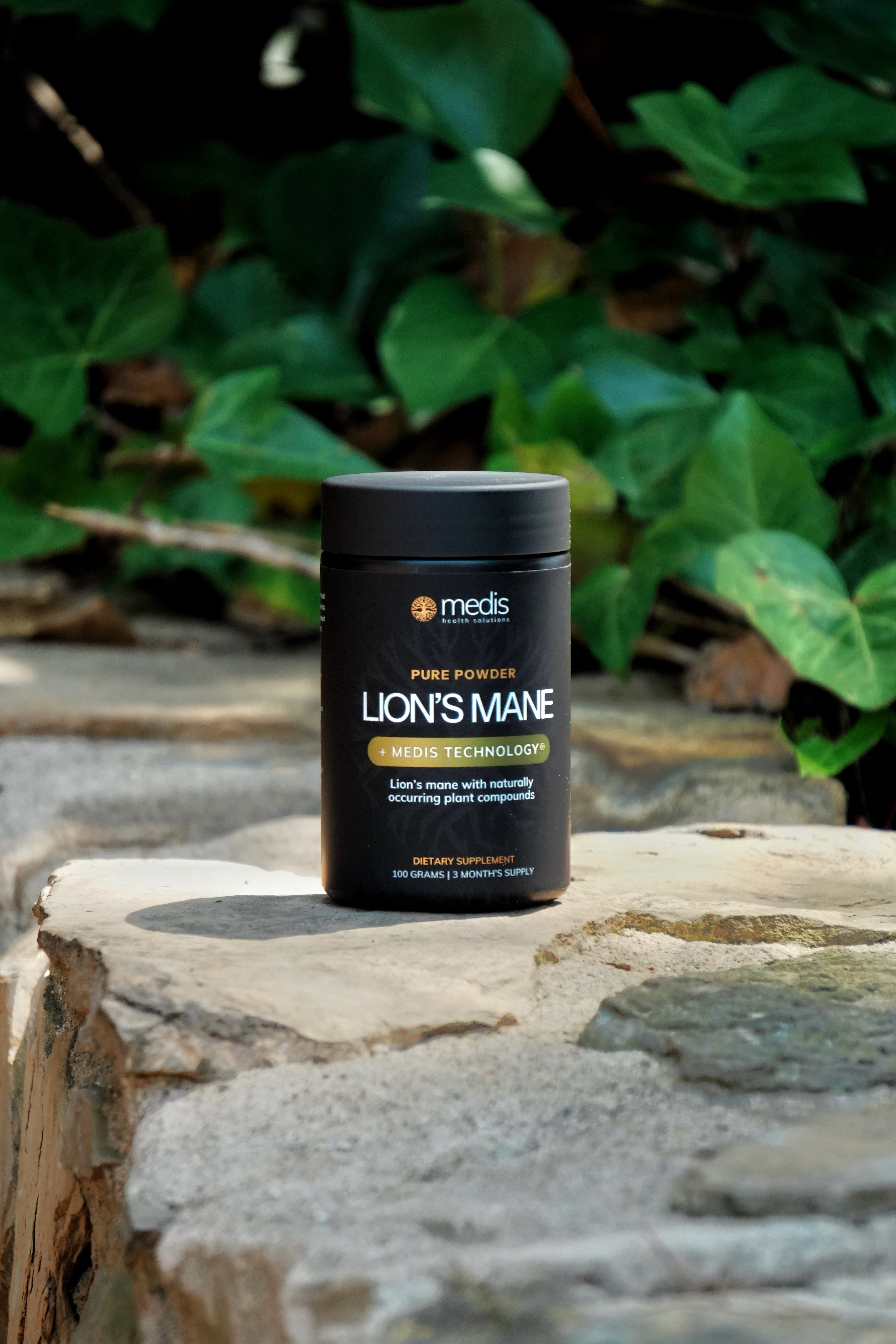 A black jar of Medis Lion's Mane supplement placed on a stone surface with green ivy leaves in the background.